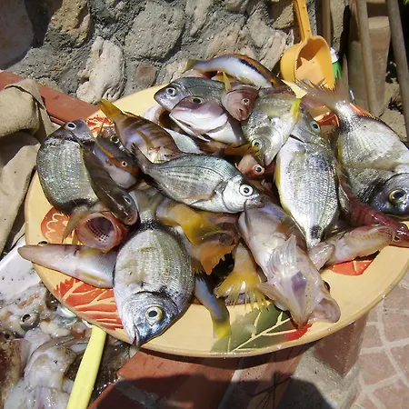 Διαμέρισμα Rada Delle Tortore Marzamemi
